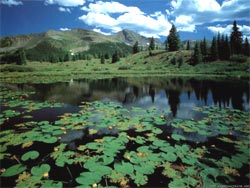 Ecopreneur - (c) PhotoBucket.com