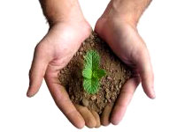 grow your small business