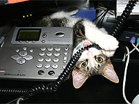 voip