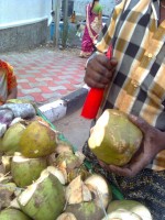 Peeling the cocnut