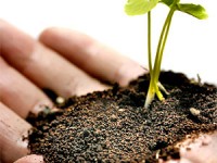 Small business startup Resilient business startup