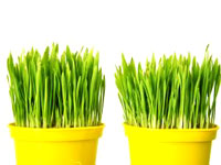 Small business growth tips Small business tips