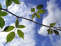 Small business growth