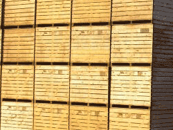 Fulfillment Services