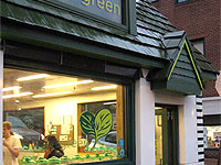 The Impact of Going Green for Small Business