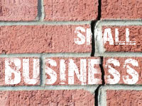 Small business 2010