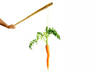 carrot on a stick
