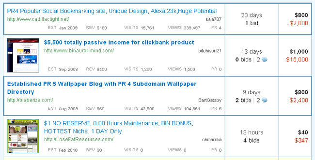 flippa marketplace listing