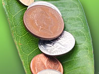 money on leaf