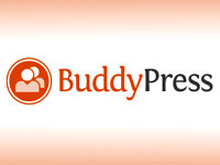 BuddyPress Social Networking in a Box buddypress