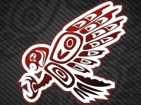 Soaring eagle haida eagle