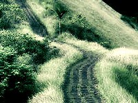 entrepreneurs journey