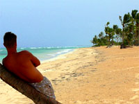 Successful entrepreneur on a beach successful entrepreneur