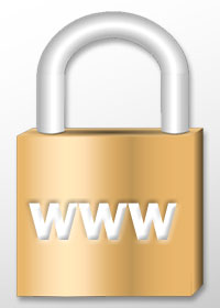 Protecting small business website securing business website via backup