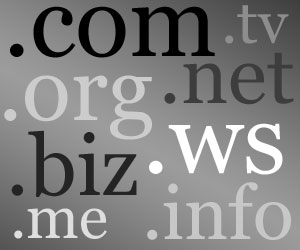Domain name investing and flipping business idea domain name flipping
