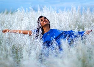 Festive celebration business opportunities pre-stitched saree