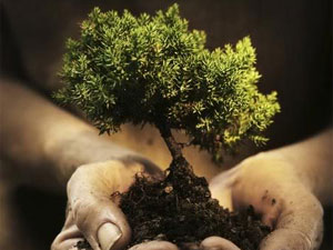 business growth tips
