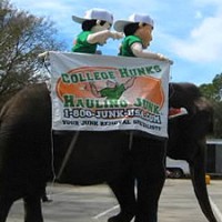 How to Start a Successful Business: Learn from College Hunks Hauling Junk