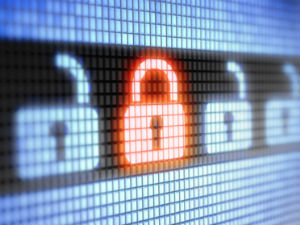 Customer information protection ecommerce security