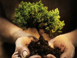 Investing and wealth building for entrepreneurs investing for entrepreneurs
