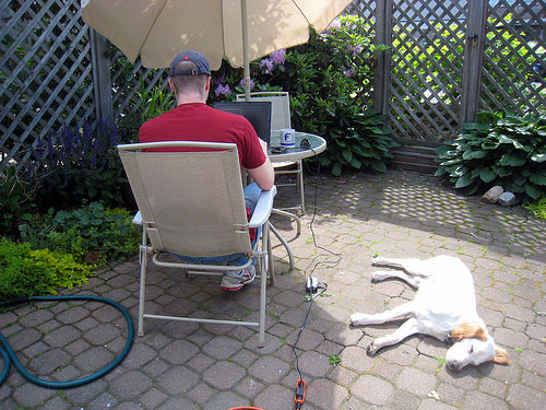 work from home
