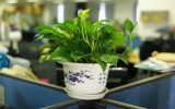 healthy workplace