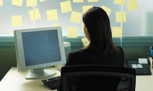 productive staff