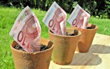 money pot