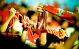 football fans
