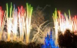 fireworks business