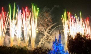 fireworks business