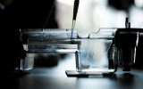 science entrepreneurial projects