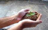 business loans for growth