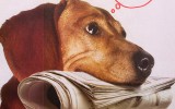 google reader alternatives