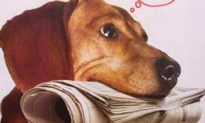 google reader alternatives