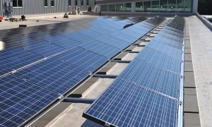 solar panels