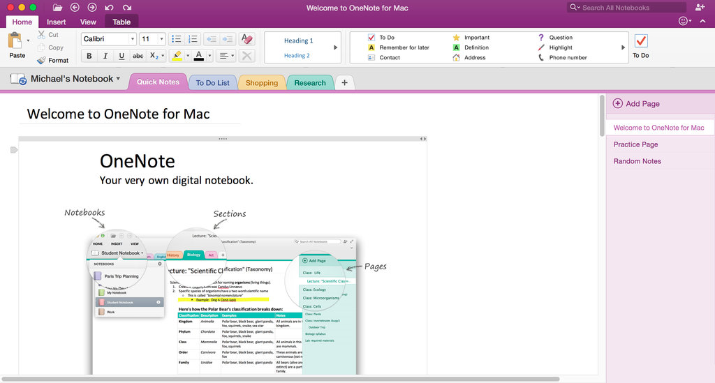 OneNote 2016 for Mac - screenshot