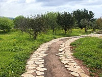 Entrepreneurs Journey