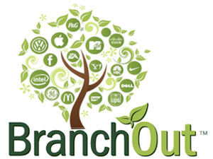Pros and Cons: Using BranchOut for Facebook to Grow A Client List