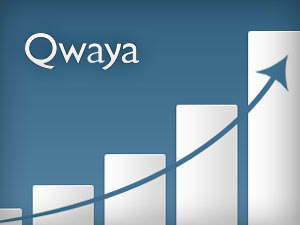Qwaya – Making Facebook Marketing Campaigns Look Easy