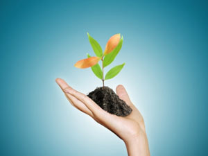 4 Strategies to Grow Your Business in Any Economy