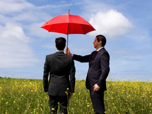 Why Small Businesses need Public Liability Insurance