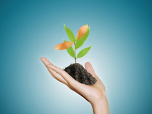 Push to Start: Building Enterprises through Education
