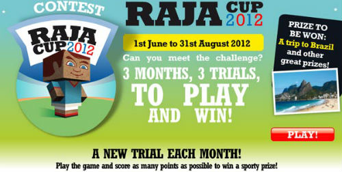 Business Professionals: Join the Rajacup 2012 Contest!