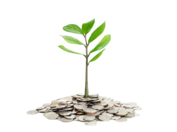 Why You should Focus on Crowdfunding