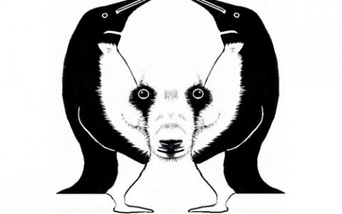 Hit by Google Panda and Penguin Updates: Road to Recovery