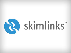 Hidden Champ: Skimlinks offer Convenience in Business Blog Monetization