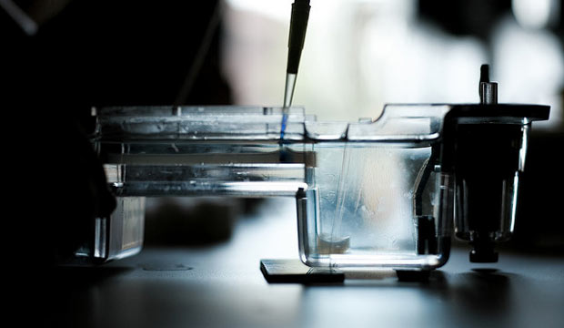 Entrepreneurial Projects that Started in the Lab