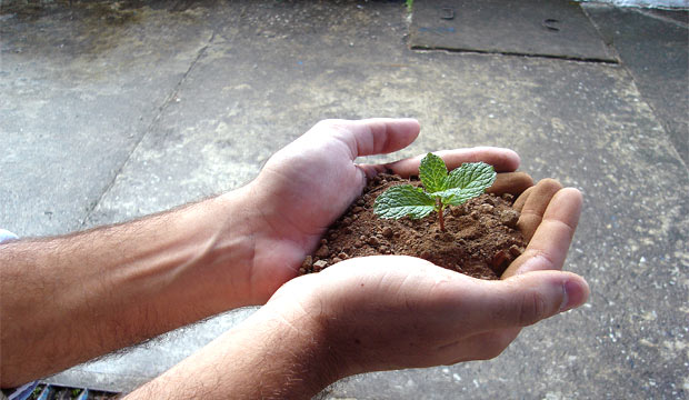 Business Loans to Boost Your Business