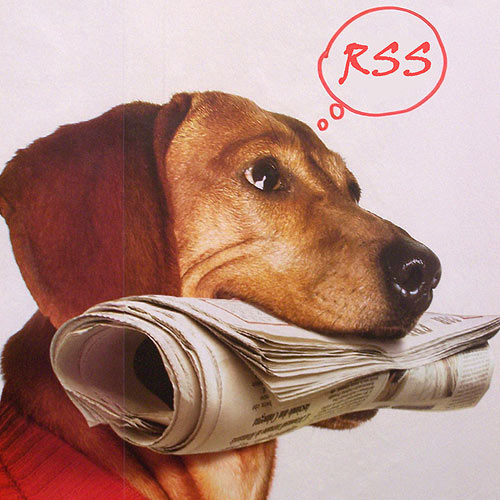 8 Alternatives to Google Reader